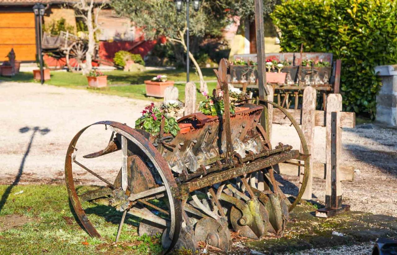 Agriturismo La Melazza 로마 외부 사진