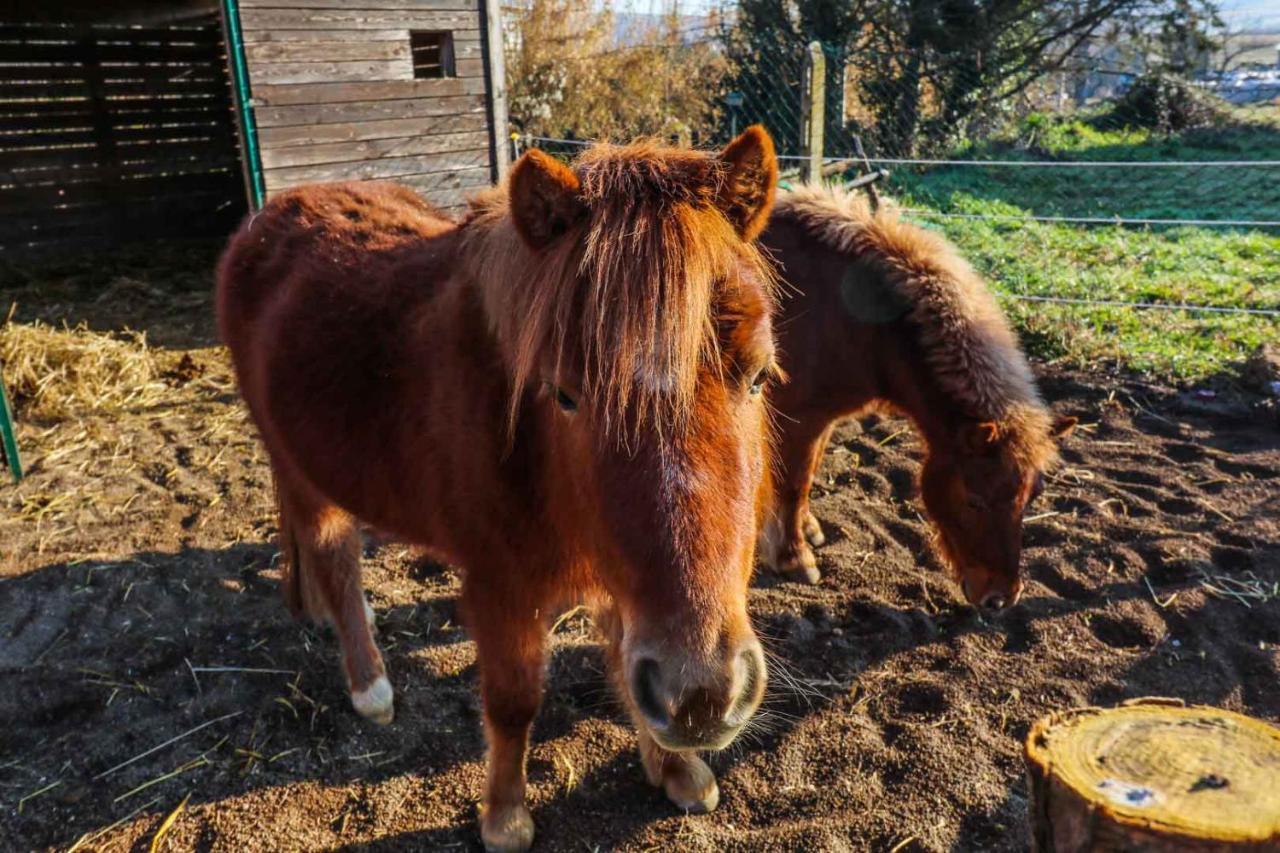 Agriturismo La Melazza 로마 외부 사진